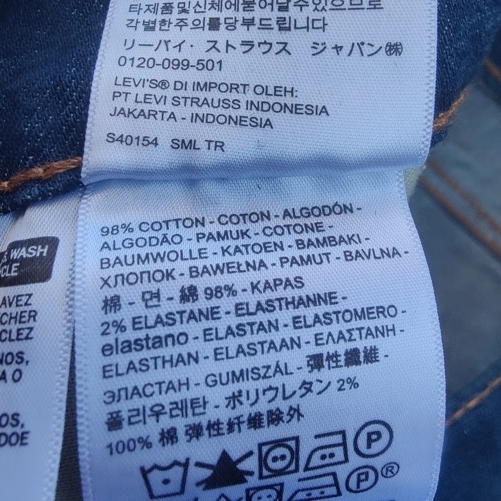 Levis levi strauss